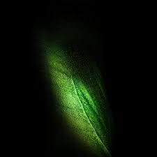 Find the best 4k animated wallpaper on getwallpapers. 4k Galaxy Animated Wallpaper Desktop New Google Chrome Themes Dark Mode Custom Backgrounds Amp Ikimaru Com