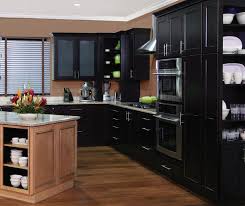 Kitchen And Bath Cabinet Color And Finish Photo Gallery Homecrest Cabinets Homecrest Cabinets Kitchen Design Styles White Bathroom Cabinets