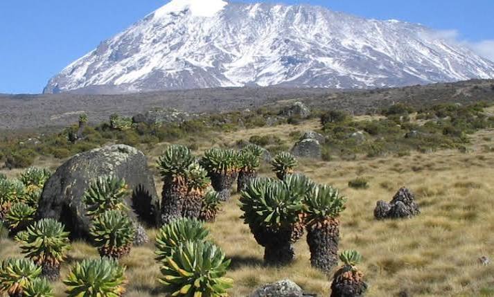The Snows of Mount Kilimanjaro | Mount Kilimanjaro National Park
