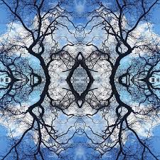 Fractal Patterns Photograph By Diana Wesley In 2021 Fractal Patterns Fractals Patterns In Nature