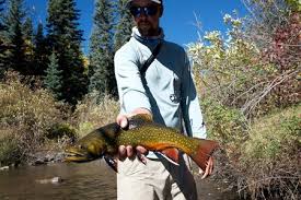The san juan river is a major tributary of the colorado river in the southwestern united states, providing the chief drainage for the four corners region of colorado, new mexico, utah, and arizona. San Juan River Fishing Report Waterflow New Mexico