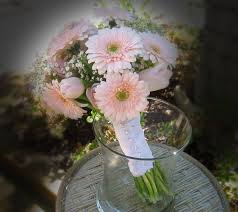 This gerber daisy wedding bouquet is designed in a scepter style with the fun addition of a cluster of bright pink nerine lilies and a gaily striped bow. La Jolla Village Florist Pale Pink Bridal Bouquet Pale Pink Bridal Bouquets Daisy Wedding Flowers Bridal Bouquet Pink