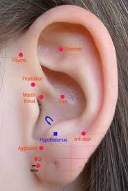 Pin On Ear Acupressure