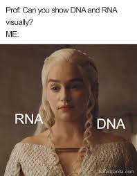 Funny Doctors Memes | Funny doctor memes, Medical memes, Doctor humor