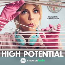 High Potential: Season 1 Episode 12 Morgan's Dye Top