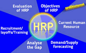 The performance and survival of the business with the definition of hrp, it is clear that the process is to ensure that human resources availability is the least of the problems a firm has to face. Human Resource Planning Hrp Meaning Definition Objectives Process Factors Affecting Importance