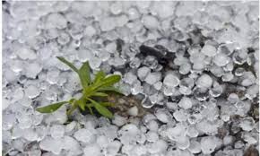 El granizo se forma en la parte superior de las nubes, a unos 3,200 metros en regiones con clima templado, se producen tormentas de granizo durante los meses calurosos y. Tormentas Con Granizo En Honduras Blogs Unah