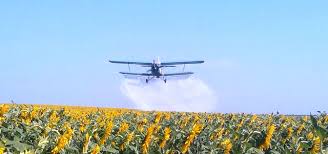 Результат пошуку зображень за запитом "картинки недопущення отруєння пестицидами бджіл"