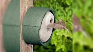 Nach einem harten winter oder einer langen reise zurück aus dem süden, freuen sich die vögel, wenn sie möglichst schnell einen nistplatz finden. So Wahlen Sie Den Richtigen Nistkasten Aus