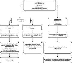 As with all allocations, excel allocations can only be performed on project documents. Flowchart Displaying The Allocation Of Patients To The Two Methods And Download Scientific Diagram