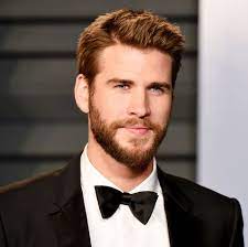 Liam Hemsworth Shares Photo of His Malibu Home After Wildfire