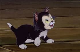 Naming your cat is a personal thing and it is not easy to find a perfect kitten name. Disney Cat Names 29 Unforgettable Characters 165 Name Ideas
