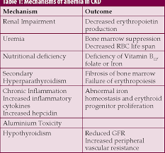Pdf 125 Management Of Anemia In Chronic Kidney Disease Revisited Semantic Scholar