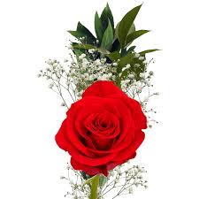 Check spelling or type a new query. Single Flower Bouquets For Mother S Day Fundraisers Globalrose