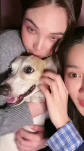 Tracys Dog Sonya Maya