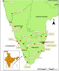 Image result for Garcinia huillensis