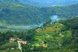 Taman herba semelai bera pahang 2016 opkim perkampungan orang asli bera 2010 (kumpulan 5) orang asli tidak puas hati terhadap perhilitan lawatan nicol david ke kampung orang asli ulu tual masyarakat orang asli kampung kedaik. A Very Rough Guide To Broga Museum Volunteers Jmm