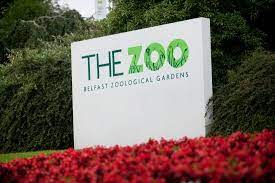 Belfast zoo houses over 140 species of animals, many of which are now endangered in their natural habitat. The Zoo Entrance Picture Of Belfast Zoo Newtownabbey Tripadvisor