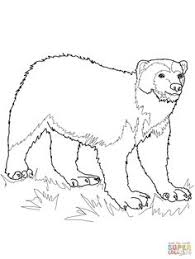 Step by step drawing tutorial on how to draw a wolverine here is a 9 step tutorial about how to draw a wolverine view as : 30 Wolverine Ideas Wolverine Wolverine Animal Animals
