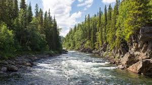 Maybe you would like to learn more about one of these? 7 Cara Membersihkan Noda Getah Di Pakaian Mudah Dan Efektif Hot Liputan6 Com