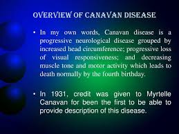 Canavan Disease The Causes Of Detection Of Symptoms Of And Treatment Of Canavan Disease Ppt Download
