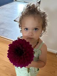 2024 overachiever is Diva! Plus potentially 17 tubers for next year  🌺♥️🌺♥️