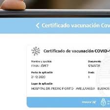 Total coronavirus cases in bolivia. Lanzan Un Pasaporte Sanitario Contra La Covid 19 Al Estilo De Los Que Se Usan Ya En Nueva York