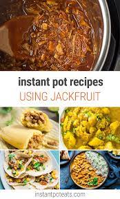 Instant Pot Jackfruit Recipes Vegan Friendly Jackfruit Recipes Healthy Instant Pot Recipes Instant Pot Recipes