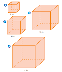 Kunci Jawaban Matematika Kelas 5 Halaman 159 160 Osnipa