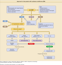 Image result for Erythema Multiforme Causes