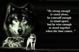 See more ideas about wallpaper quotes, quotes and inspirational quotes. Wolf Wisdom Hd Wallpaper Wolf Quotes Lone Wolf Quotes Quotes