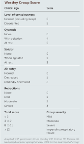 Image result for Croup Score