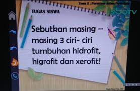 Sebutkan Masing Masing 3 Ciri Ciri Tumbuhan Hidrofit Higrofit Dan Xerofit