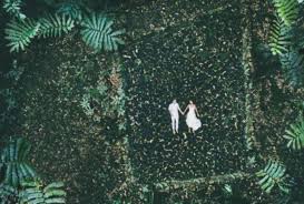 Kedua, saat pohon bambunya mulai menguning. 16 Foto Prewedding Unik Nan Romantis Yang Diambil Dengan Drone Yakin Nggak Kepingin