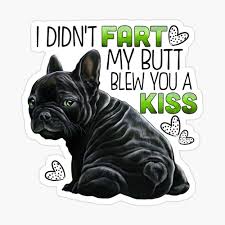 It's long enough for her and she's 58. Black French Bulldog Black Frenchie French Bulldog Gifts French Bulldog Shirts Greeting Card By Rvyalkov Redbubble