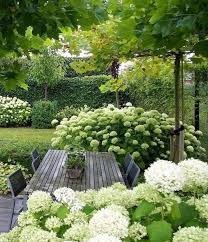 Pflanzplanung Hortensien Fur Eine Lange Blute Im Garten Schon Pins Pflanzplanung Hortensien Fur Eine Lange B In 2020 Garten Garten Landschaftsbau Hortensien Garten