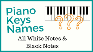 Maybe you would like to learn more about one of these? Piano Key Notes Black White Piano Keys
