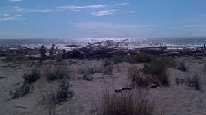 Spiaggia della Lecciona - Toscana Film Commission