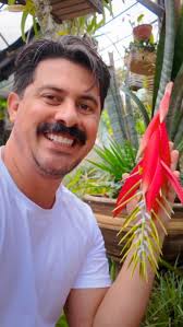 Olha o biscoitinho passando na sua timeline 🍪😁 #botanicastorebrasil . . .  . #habitatbrasileiro #bromeliadsofinstagram #bromeliadslover #bromélia  #plantsmakepeoplehappy #hohenbergiacastellanosii