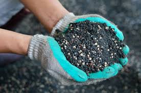 We've also got great ready to use blends. How To Mix Your Own Bonsai Soil Grow A Bonsai Tree