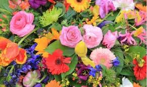 ورد ملون جميل Imagx Flowers All Flowers Floral Wreath