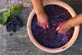 Wine was originally made with grapes and the grape is the single best fruit to make wine with due to its characteristics. Step By Step Winemaking Process For Beginners Lovetoknow