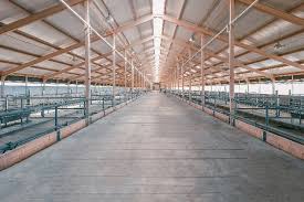 How to insulate an elevated floor on cinder blocks. Flooring And Ground Options For Your Pole Barn