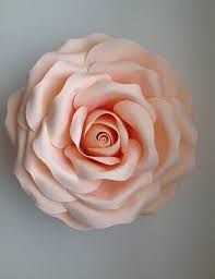 Check spelling or type a new query. Large Paper Flowers Giant Paper Flowers Paper Flowers Foam Etsy Large Paper Flowers Giant Paper Flowers Paper Flowers