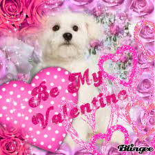 Happy Valentine S Day Doggie Lovers Happy Valentines Day Gif Happy Valentines Day Happy Valentine