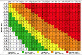 The Skinny On Bmi Wehearthealthliteracy Medium