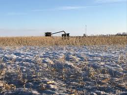 Kellie Podliska (@KPodliska)