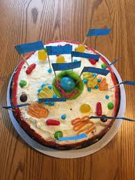 Maybe you would like to learn more about one of these? Edible 3d Animal Cell Two 9 Cakes Wrapped With A Few Fruit By The Foot And Various Candies Recetas