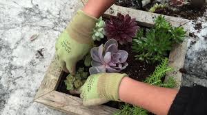 See more ideas about plants, succulents, succulents garden. Easy Succulent Wall Planter