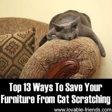 How to keep cats from scratching furniture. 24 Ideas To Keep Cats From Scratching Furniture Cats Pets Crazy Cats